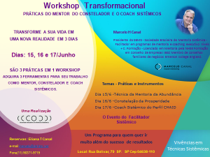 Work Shop Sistêmico