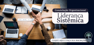 Constelação Organizacional